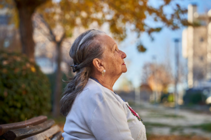 Sindnapi - Sindicato Nacional dos Aposentados, Pensionistas e Idosos