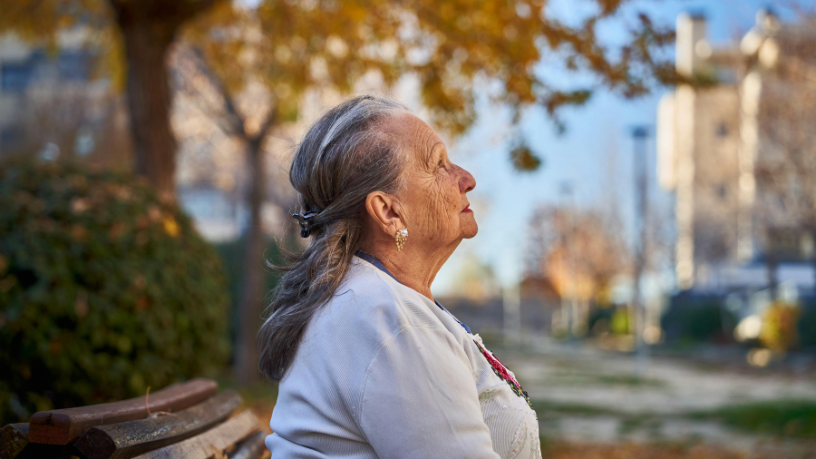Sindnapi - Sindicato Nacional dos Aposentados, Pensionistas e Idosos